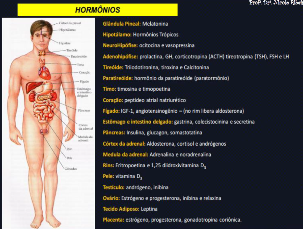 Hormômios do sistema endócrino
