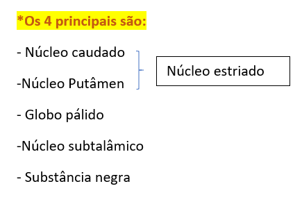 Núcleos Bases