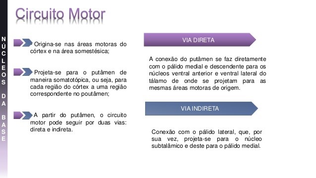 circuito motor