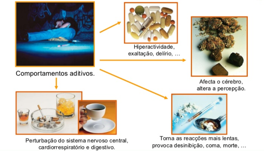 comportamentos que afetam o sistema neuro hormonal