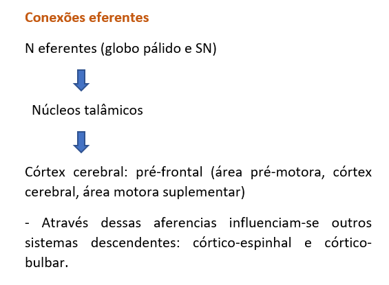 conexões eferentes