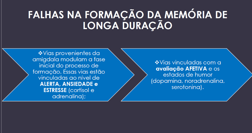 falhas na formação de memória de longa duração