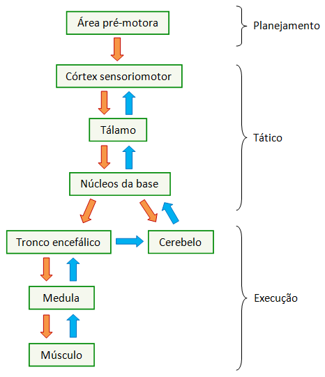 resumo