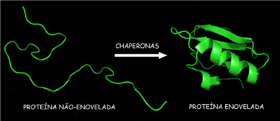 enovelamento de proteínas