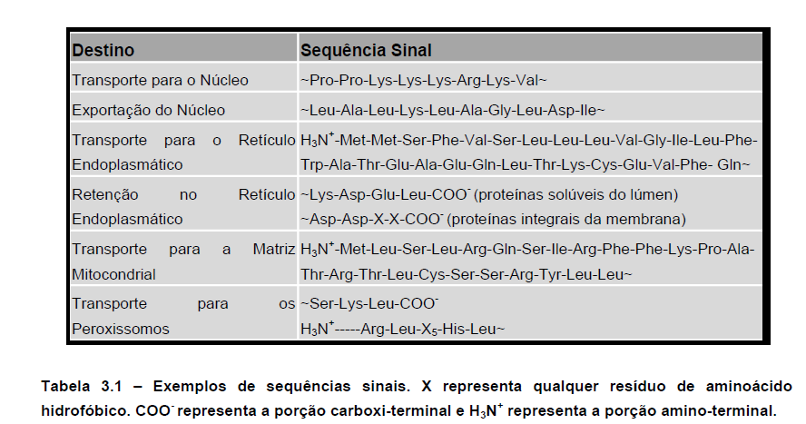 exemplos de sequencia sinal