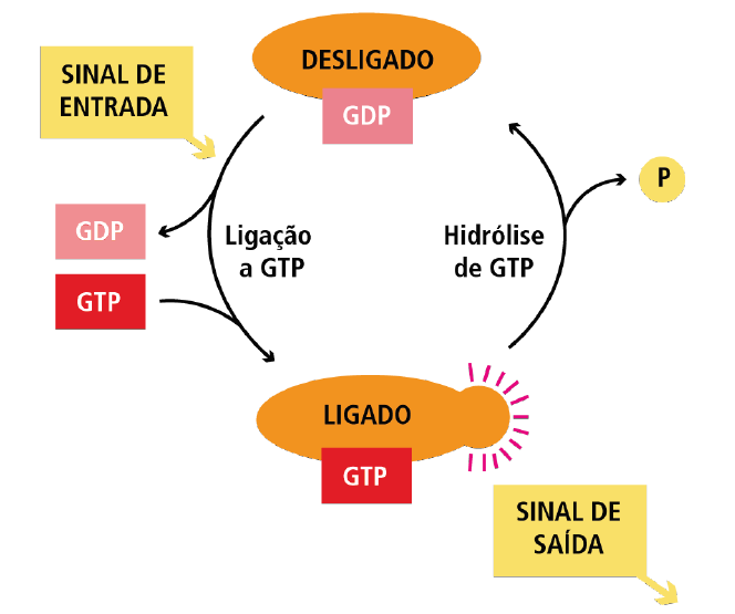 SINALIZACAO CEL 1