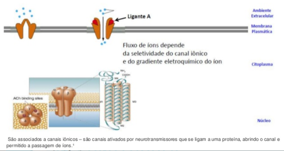 ionotropico